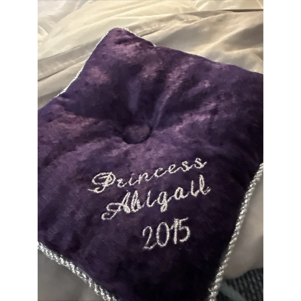 Walt Disney World Cinderellas Castle Glass Slipper And Pillow (Abby)